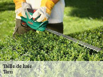 Taille de haie Tarn