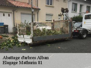 Abattage d'arbres  alban-81250 Elagage Mathurin 81