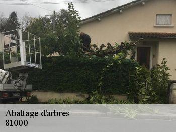 Abattage d'arbres  81000