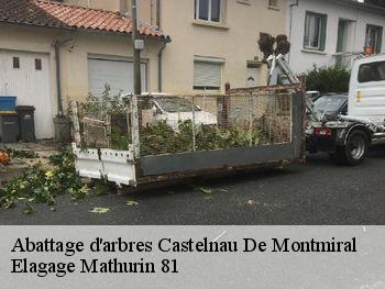 Abattage d'arbres  castelnau-de-montmiral-81140 Elagage Mathurin 81