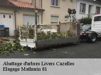 Abattage d'arbres  livers-cazelles-81170 Elagage Mathurin 81