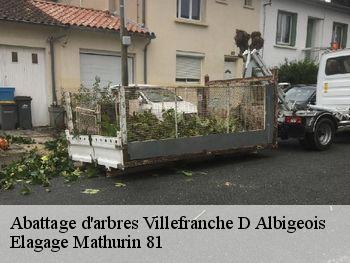 Abattage d'arbres  villefranche-d-albigeois-81430 Elagage Mathurin 81