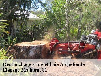 Dessouchage arbre et haie  aiguefonde-81200 Elagage Mathurin 81