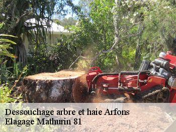Dessouchage arbre et haie  arfons-81110 Elagage Mathurin 81