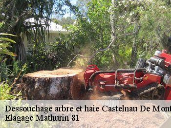 Dessouchage arbre et haie  castelnau-de-montmiral-81140 Elagage Mathurin 81