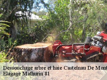 Dessouchage arbre et haie castelnau-de-montmiral-81140 Elagage Mathurin 81