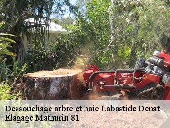 Dessouchage arbre et haie  labastide-denat-81120 Elagage Mathurin 81