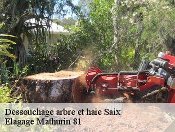 Dessouchage arbre et haie  saix-81710 Elagage Mathurin 81