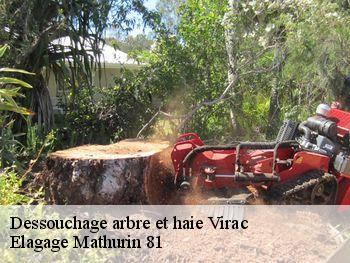 Dessouchage arbre et haie  virac-81640 Elagage Mathurin 81