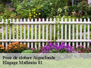 Pose de cloture  aiguefonde-81200 Elagage Mathurin 81