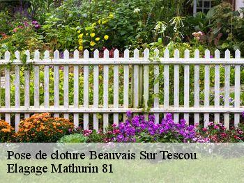 Pose de cloture  beauvais-sur-tescou-81630 Elagage Mathurin 81