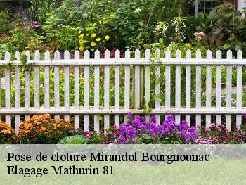 Pose de cloture  mirandol-bourgnounac-81190 Elagage Mathurin 81