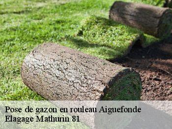 Pose de gazon en rouleau  aiguefonde-81200 Elagage Mathurin 81