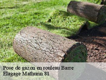 Pose de gazon en rouleau  barre-81320 Elagage Mathurin 81