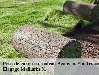 Pose de gazon en rouleau  beauvais-sur-tescou-81630 Elagage Mathurin 81