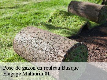 Pose de gazon en rouleau  busque-81300 Elagage Mathurin 81