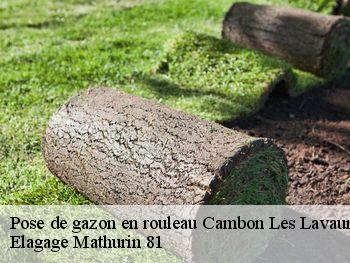 Pose de gazon en rouleau  cambon-les-lavaur-81470 Elagage Mathurin 81