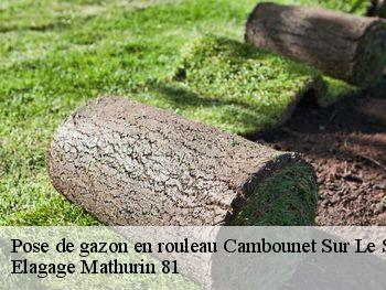 Pose de gazon en rouleau  cambounet-sur-le-sor-81580 Elagage Mathurin 81