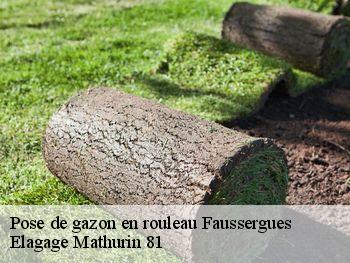 Pose de gazon en rouleau  faussergues-81340 Elagage Mathurin 81