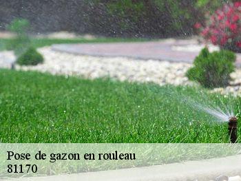 Pose de gazon en rouleau 81170