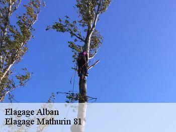 Elagage  alban-81250 Elagage Mathurin 81