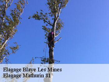 Elagage  blaye-les-mines-81400 Elagage Mathurin 81