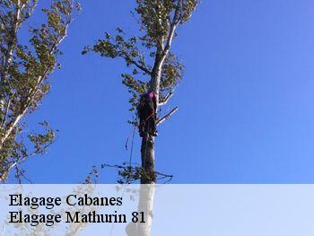 Elagage  cabanes-81500 Elagage Mathurin 81