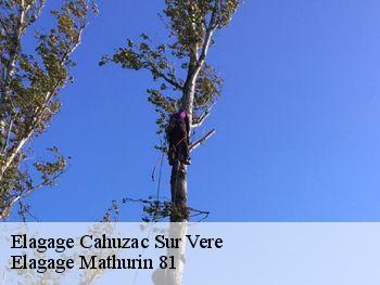 Elagage  cahuzac-sur-vere-81140 Elagage Mathurin 81