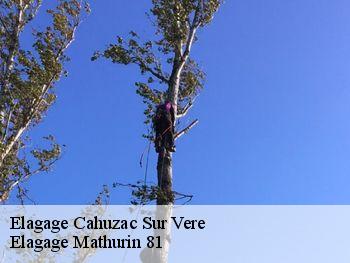 Elagage cahuzac-sur-vere-81140 Elagage Mathurin 81