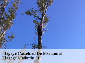 Elagage  castelnau-de-montmiral-81140 Elagage Mathurin 81