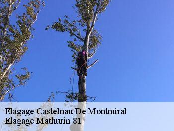 Elagage castelnau-de-montmiral-81140 Elagage Mathurin 81