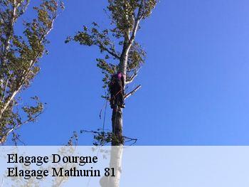 Elagage  dourgne-81110 Elagage Mathurin 81