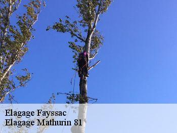 Elagage  fayssac-81150 Elagage Mathurin 81