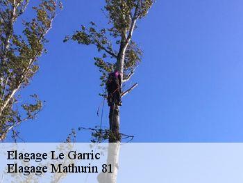 Elagage  le-garric-81450 Elagage Mathurin 81