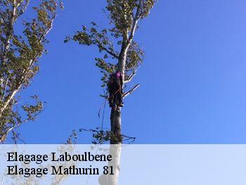 Elagage  laboulbene-81100 Elagage Mathurin 81