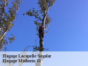 Elagage  lacapelle-segalar-81170 Elagage Mathurin 81