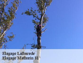 Elagage  lalbarede-81220 Elagage Mathurin 81