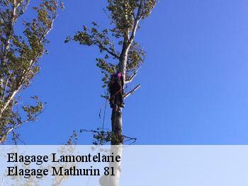 Elagage  lamontelarie-81260 Elagage Mathurin 81