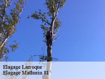 Elagage  larroque-81140 Elagage Mathurin 81