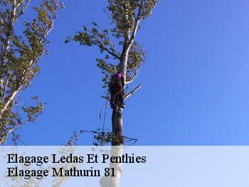 Elagage ledas-et-penthies-81340 Elagage Mathurin 81
