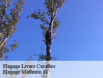 Elagage livers-cazelles-81170 Elagage Mathurin