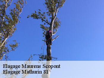 Elagage  maurens-scopont-81470 Elagage Mathurin 81
