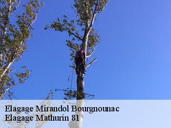 Elagage  mirandol-bourgnounac-81190 Elagage Mathurin 81