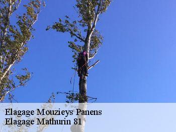Elagage  mouzieys-panens-81170 Elagage Mathurin 81