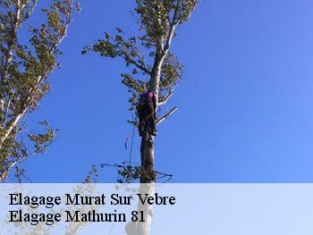 Elagage  murat-sur-vebre-81320 Elagage Mathurin 81