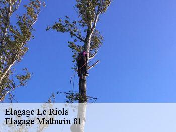 Elagage le-riols-81170 Elagage Mathurin 81