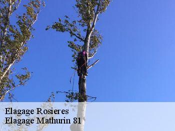 Elagage  rosieres-81400 Elagage Mathurin 81