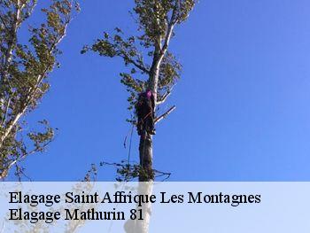 Elagage saint-affrique-les-montagnes-81290 Elagage Mathurin