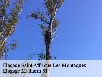 Elagage  saint-affrique-les-montagnes-81290 Elagage Mathurin 81