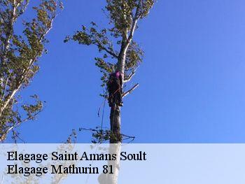 Elagage  saint-amans-soult-81240 Elagage Mathurin 81